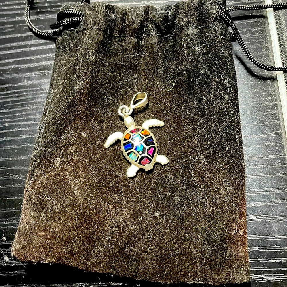 turtle necklace accessory